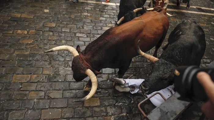 Spain: 9 injured, no one gored in final Pamplona bull run 